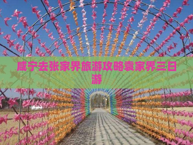 咸宁去张家界袁家界三日游