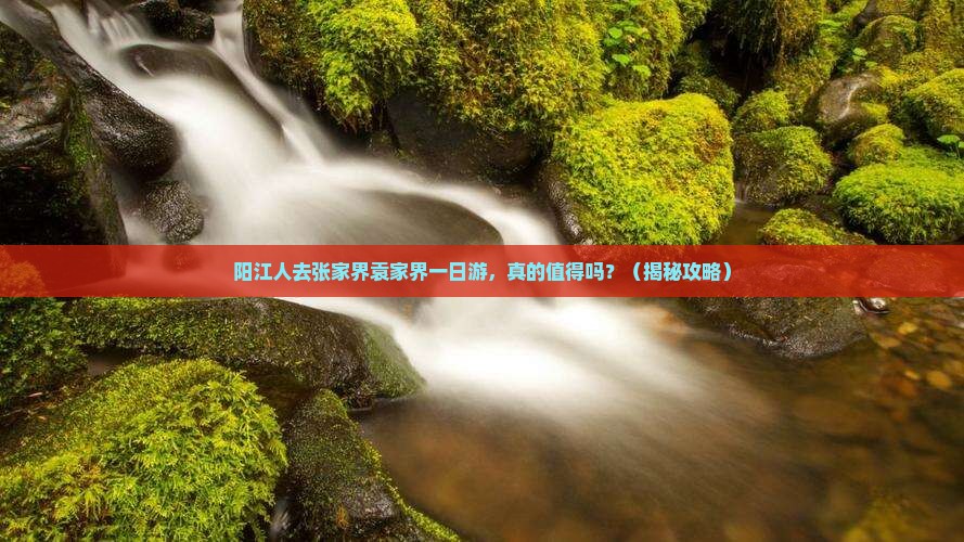阳江去张家界袁家界一日