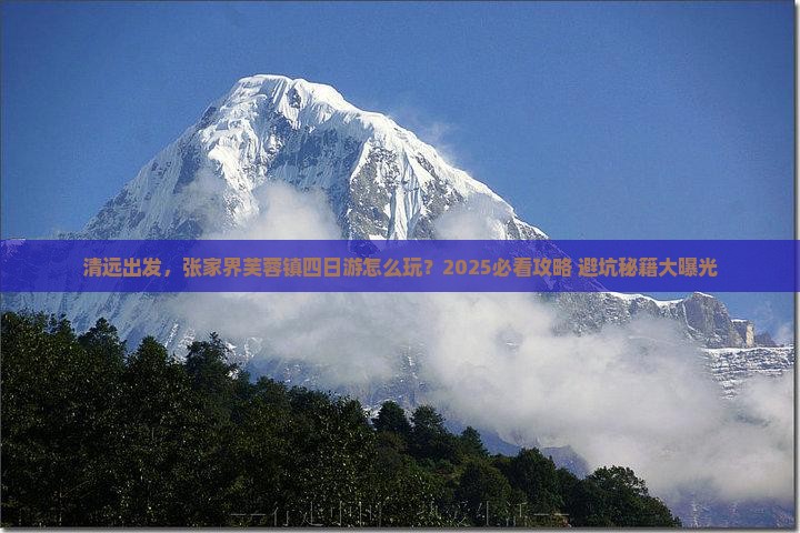 清远到张家界芙蓉镇四日游