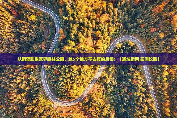 鹤壁到张家界森林公园必去地