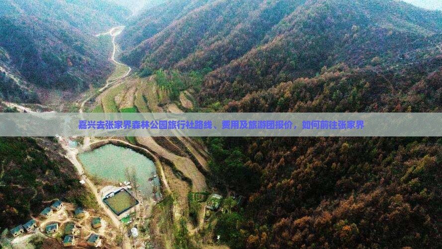 嘉兴去张家界森林公园旅行社