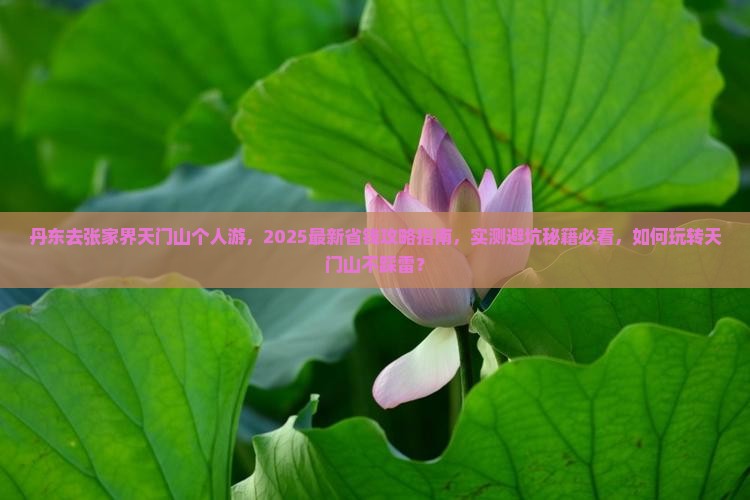 丹东去张家界天门山个人游