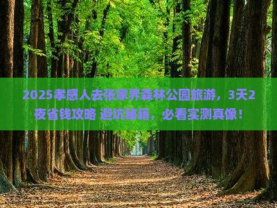 孝感到张家界森林公园旅游