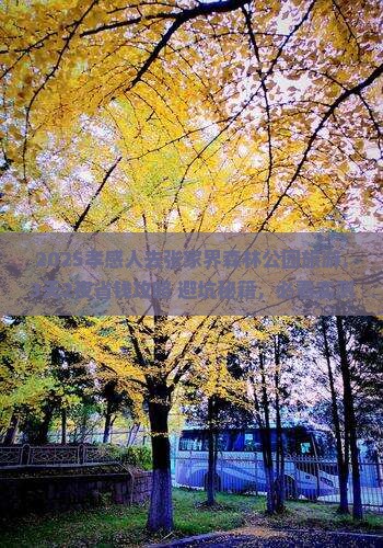 孝感到张家界森林公园旅游