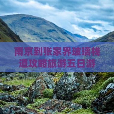 南京到张家界玻璃栈道五日游