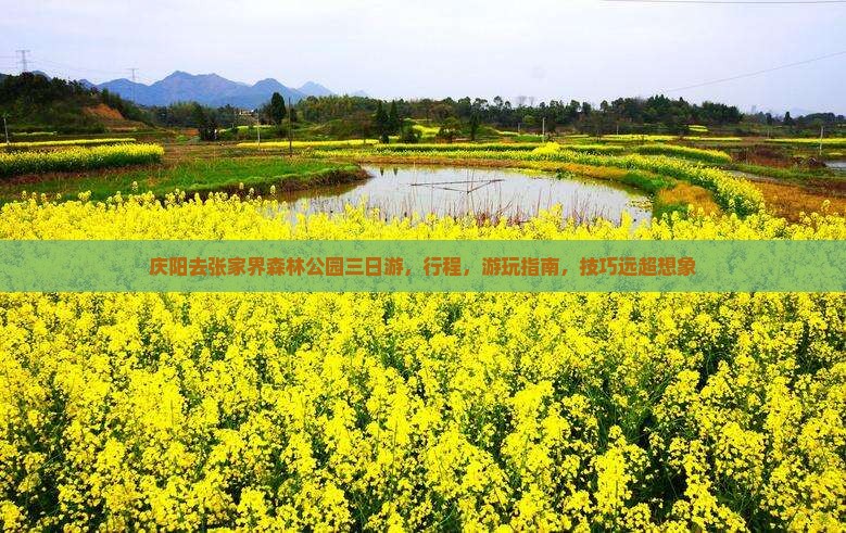 庆阳去张家界森林公园三日游
