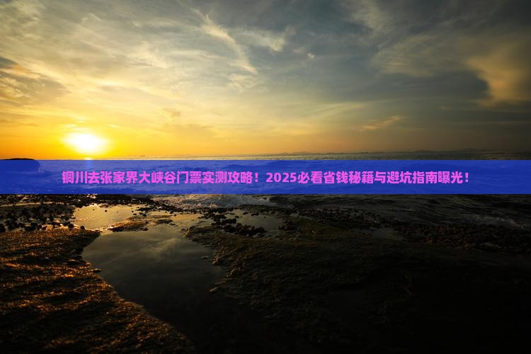 铜川去张家界大峡谷门票