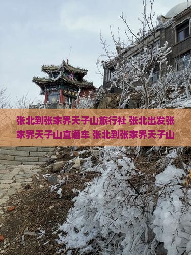 张北到张家界天子山旅行社