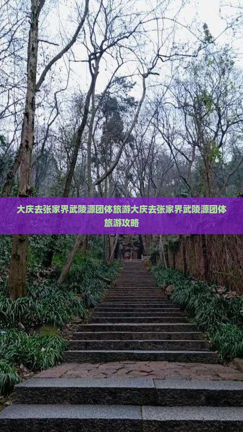 大庆去张家界武陵源团体旅游