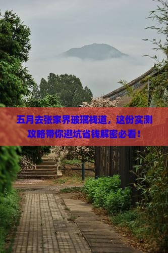 五月去张家界玻璃栈道攻略