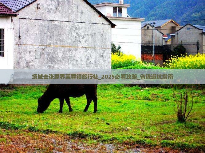 塔城去张家界芙蓉镇旅行社
