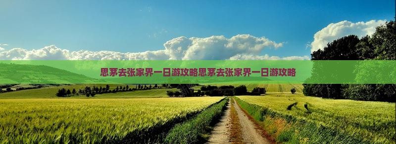 思茅去张家界一日