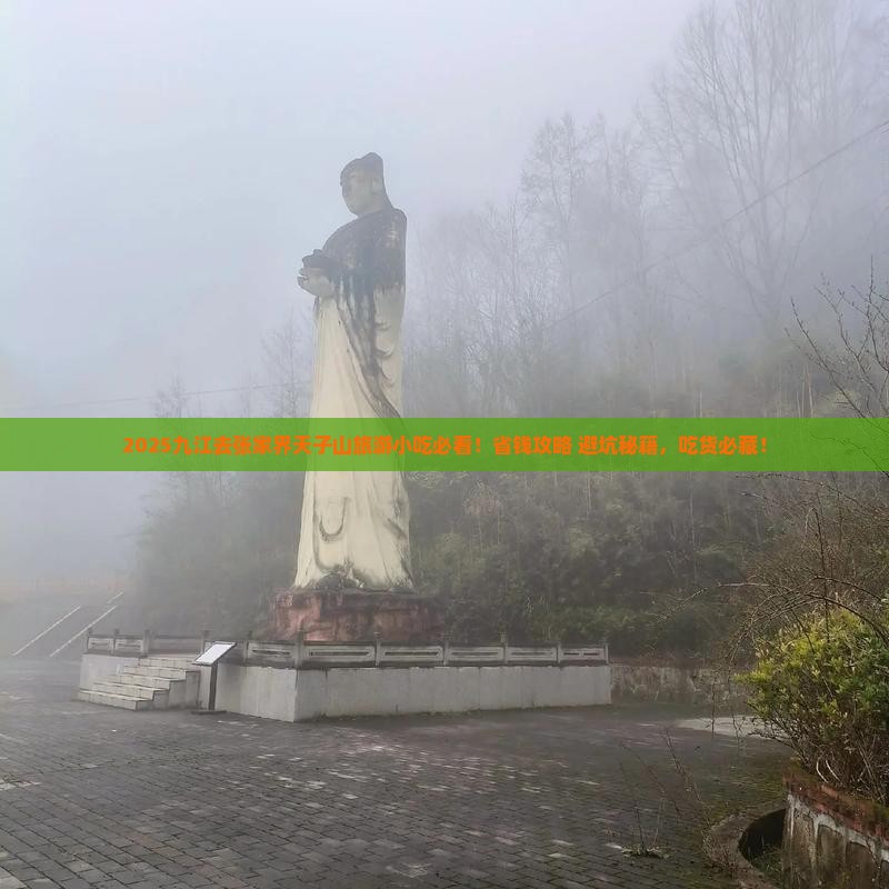 九江去张家界天子山旅游小吃