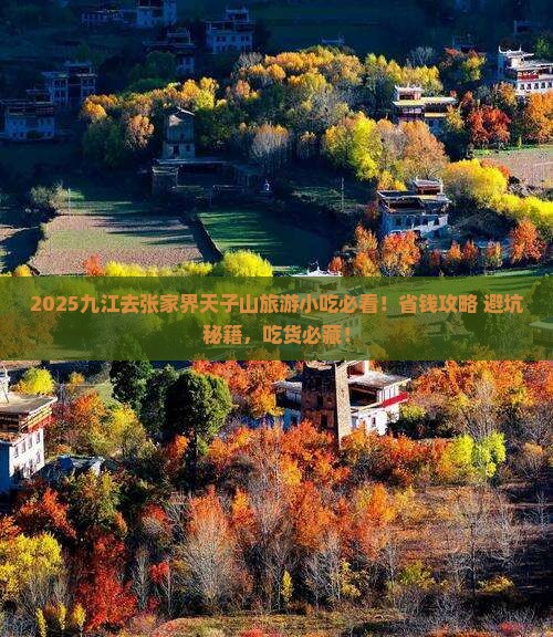 九江去张家界天子山旅游小吃