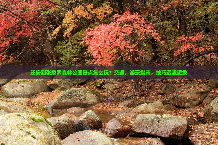 迁安到张家界森林公园景点