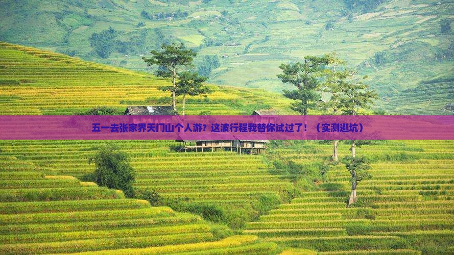 劳动节去张家界天门山个人游