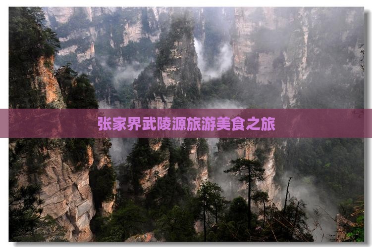 崇左去张家界武陵源旅游小吃