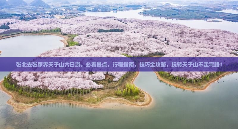 张北去张家界天子山六日游