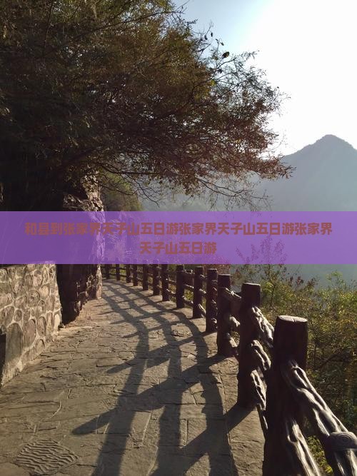 和县到张家界天子山五日游