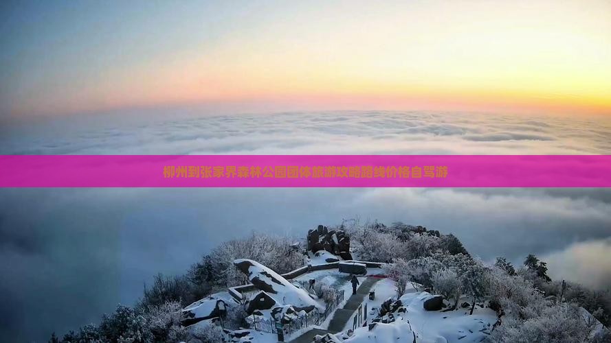 柳州到张家界森林公园团体旅游