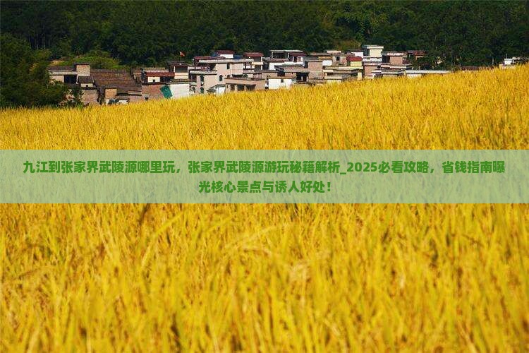 九江到张家界武陵源哪里玩