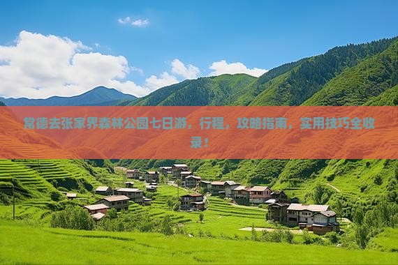 常德去张家界森林公园七日游