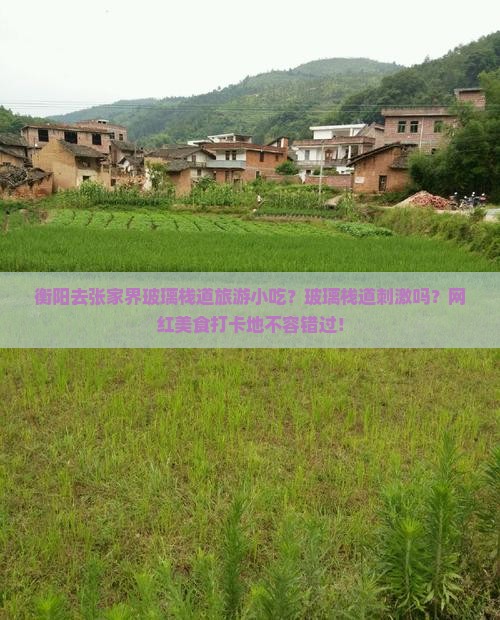 衡阳去张家界玻璃栈道旅游小吃？玻璃栈道刺激吗？网红美食打卡地不容错过！