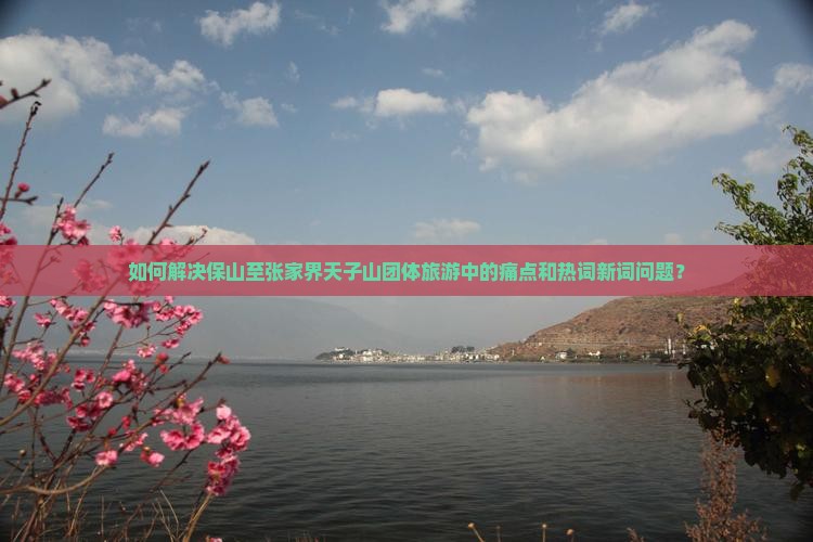 如何解决保山至张家界天子山团体旅游中的痛点和热词新词问题？