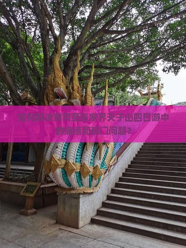 如何解决黄冈至张家界天子山四日游中的痛点和热门问题？