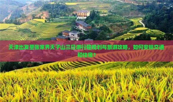 天津出发至张家界天子山三日游行程规划与旅游攻略，如何安排交通和住宿？