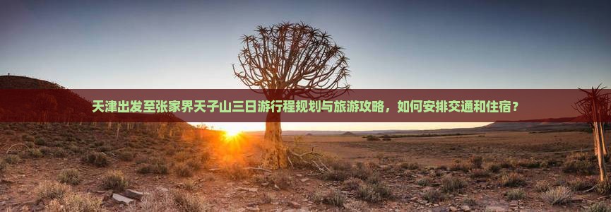 天津出发至张家界天子山三日游行程规划与旅游攻略，如何安排交通和住宿？