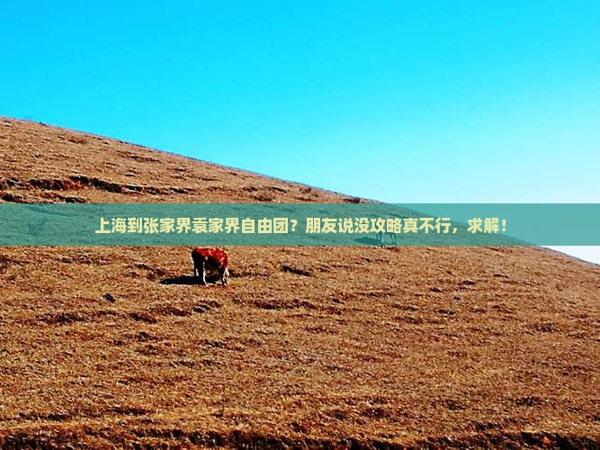上海到张家界袁家界自由团？朋友说没攻略真不行，求解！
