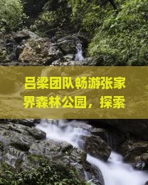 吕梁团队畅游张家界森林公园，探索自然奇观团体旅游盛宴