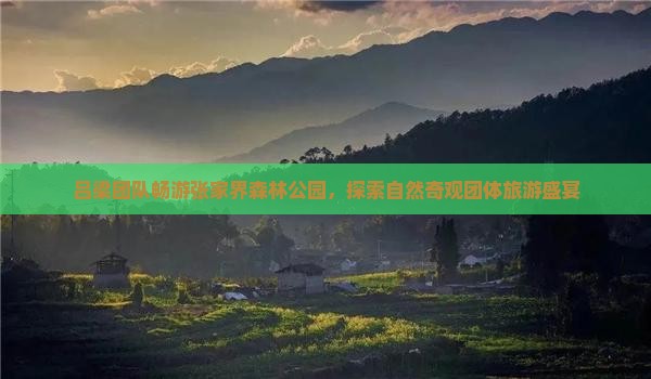 吕梁团队畅游张家界森林公园，探索自然奇观团体旅游盛宴