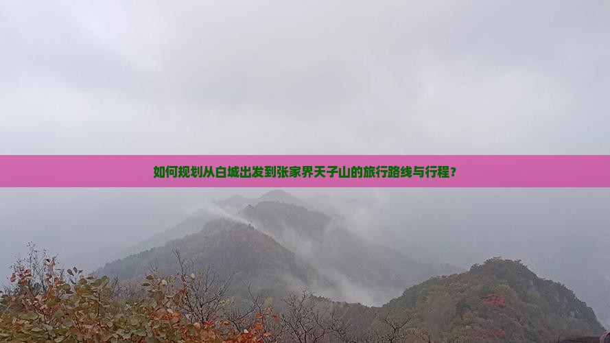如何规划从白城出发到张家界天子山的旅行路线与行程？