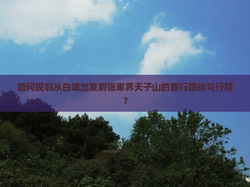 如何规划从白城出发到张家界天子山的旅行路线与行程？