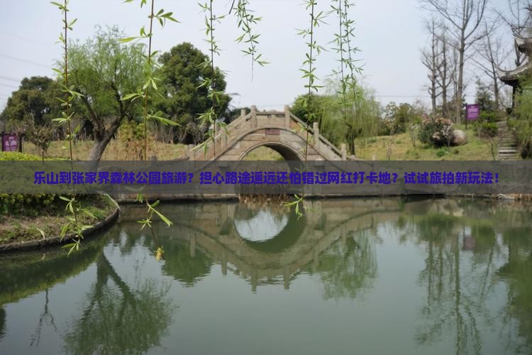乐山到张家界森林公园旅游？担心路途遥远还怕错过网红打卡地？试试旅拍新玩法！