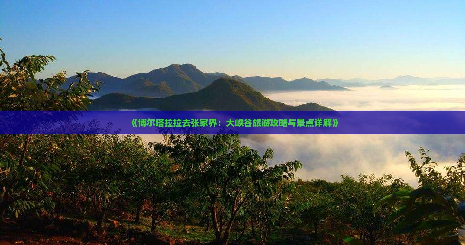 《博尔塔拉拉去张家界：大峡谷旅游攻略与景点详解》