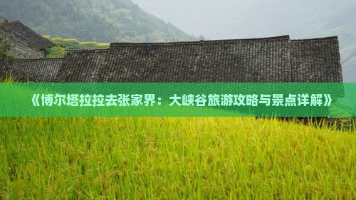 《博尔塔拉拉去张家界：大峡谷旅游攻略与景点详解》