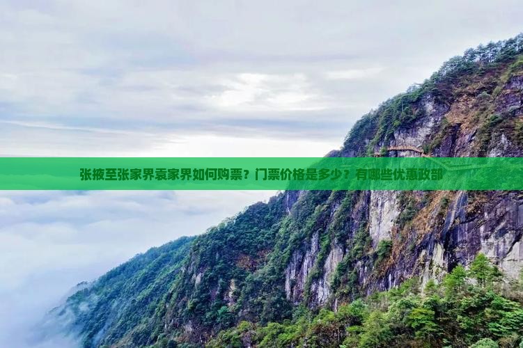 张掖至张家界袁家界如何购票？门票价格是多少？有哪些优惠政部