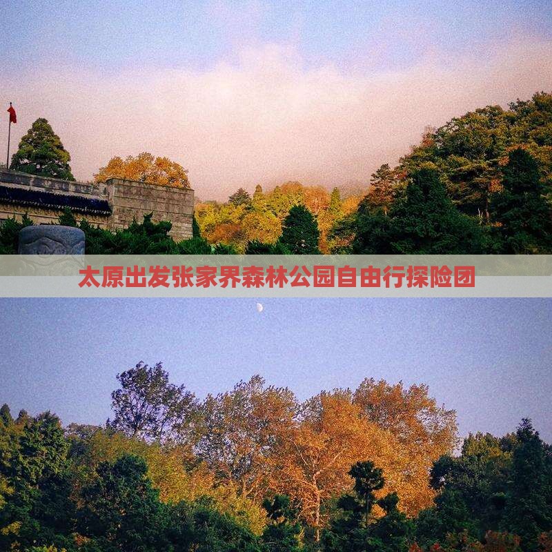 太原出发张家界森林公园自由行探险团