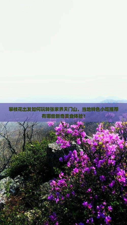 攀枝花出发如何玩转张家界天门山，当地特色小吃推荐有哪些新奇美食体验？