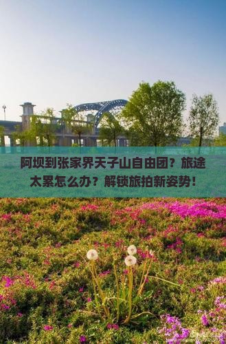 阿坝到张家界天子山自由团？旅途太累怎么办？解锁旅拍新姿势！