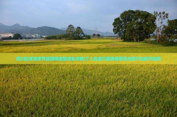 铜川出发张家界玻璃栈道旅游全攻略|个人自由行路线看看景点旅行社旅行指南