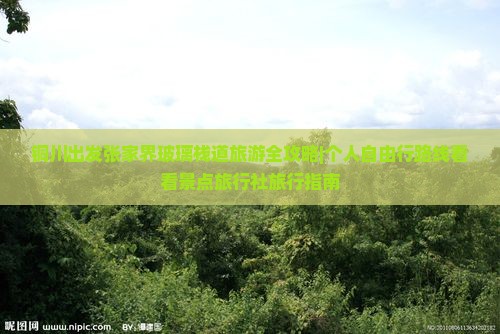 铜川出发张家界玻璃栈道旅游全攻略|个人自由行路线看看景点旅行社旅行指南