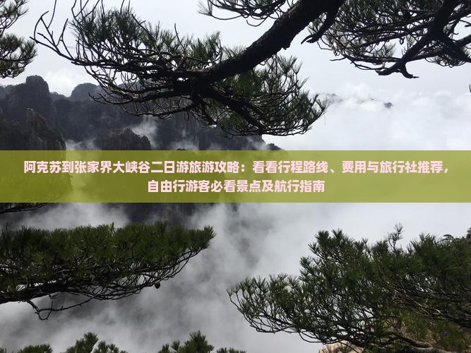 阿克苏到张家界大峡谷二日游旅游攻略：看看行程路线、费用与旅行社推荐，自由行游客必看景点及航行指南