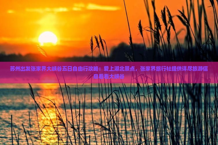 苏州出发张家界大峡谷五日自由行攻略：爱上湖北景点，张家界旅行社提供详尽旅游信息看看大峡谷