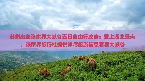 苏州出发张家界大峡谷五日自由行攻略：爱上湖北景点，张家界旅行社提供详尽旅游信息看看大峡谷