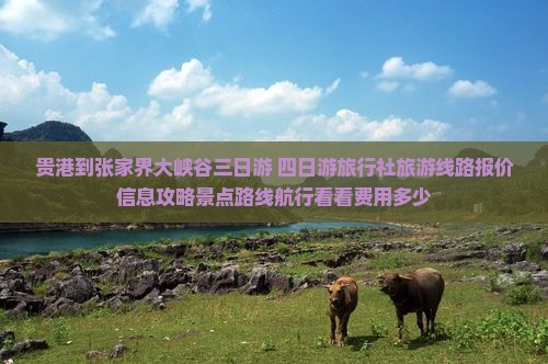 贵港到张家界大峡谷三日游+四日游旅行社旅游线路报价信息攻略景点路线航行看看费用多少