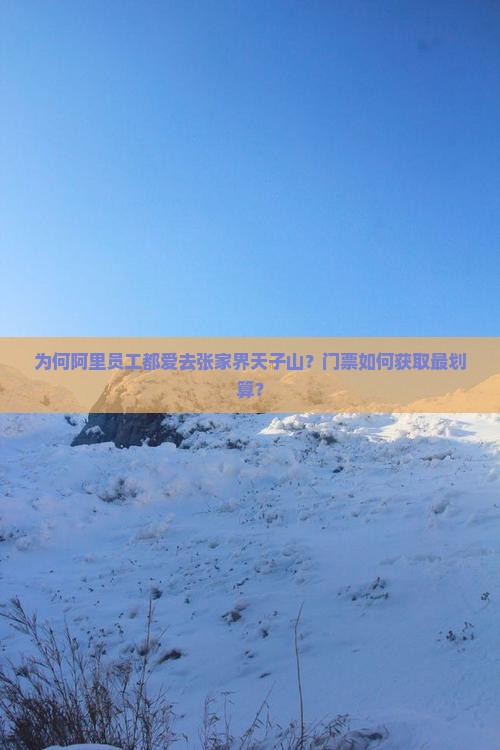 为何阿里员工都爱去张家界天子山?门票如何获取最划算? 为何阿里员工都爱去张家界天子山?门票如何获取最划算?